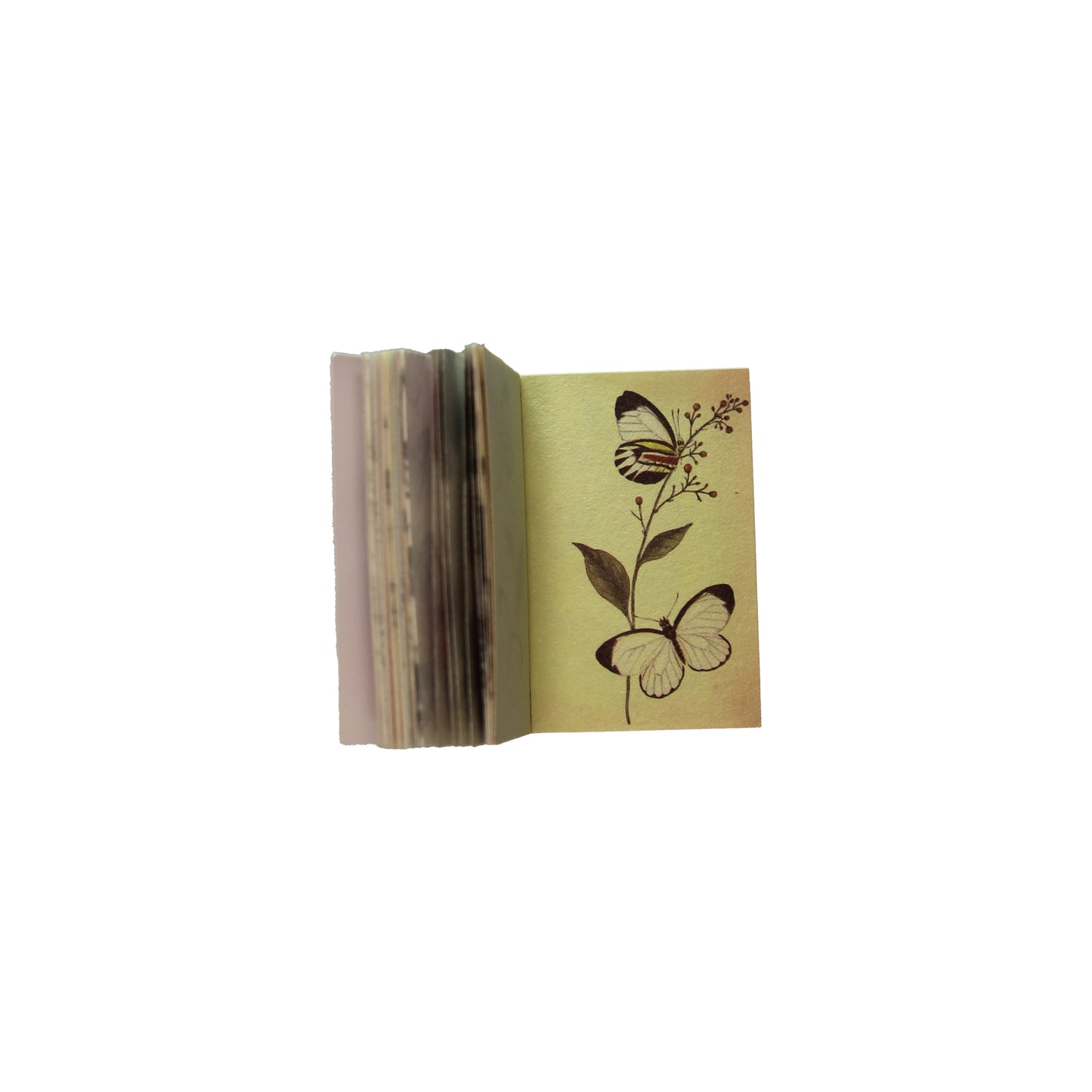 Butterfly | Earth Mini Magi Book