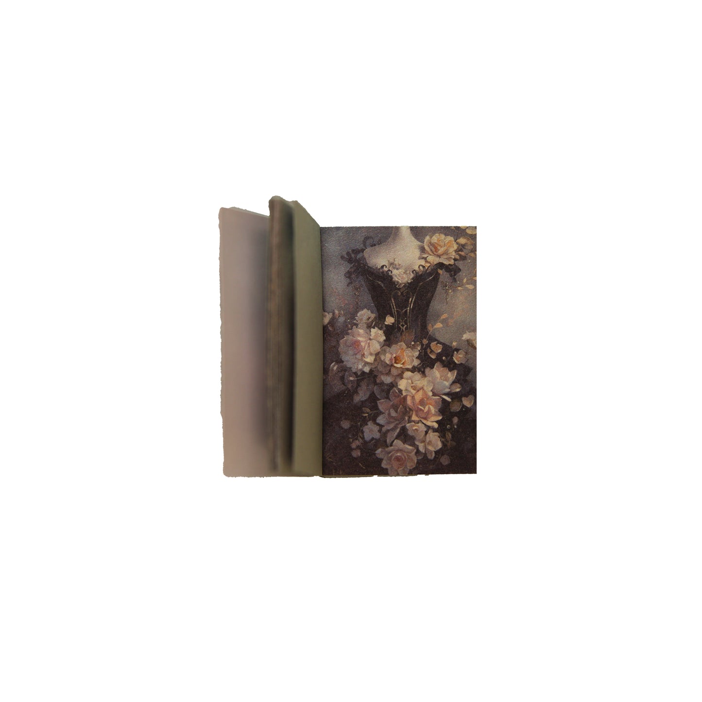 The Butterfly Nocture | Black Mini Magi Book