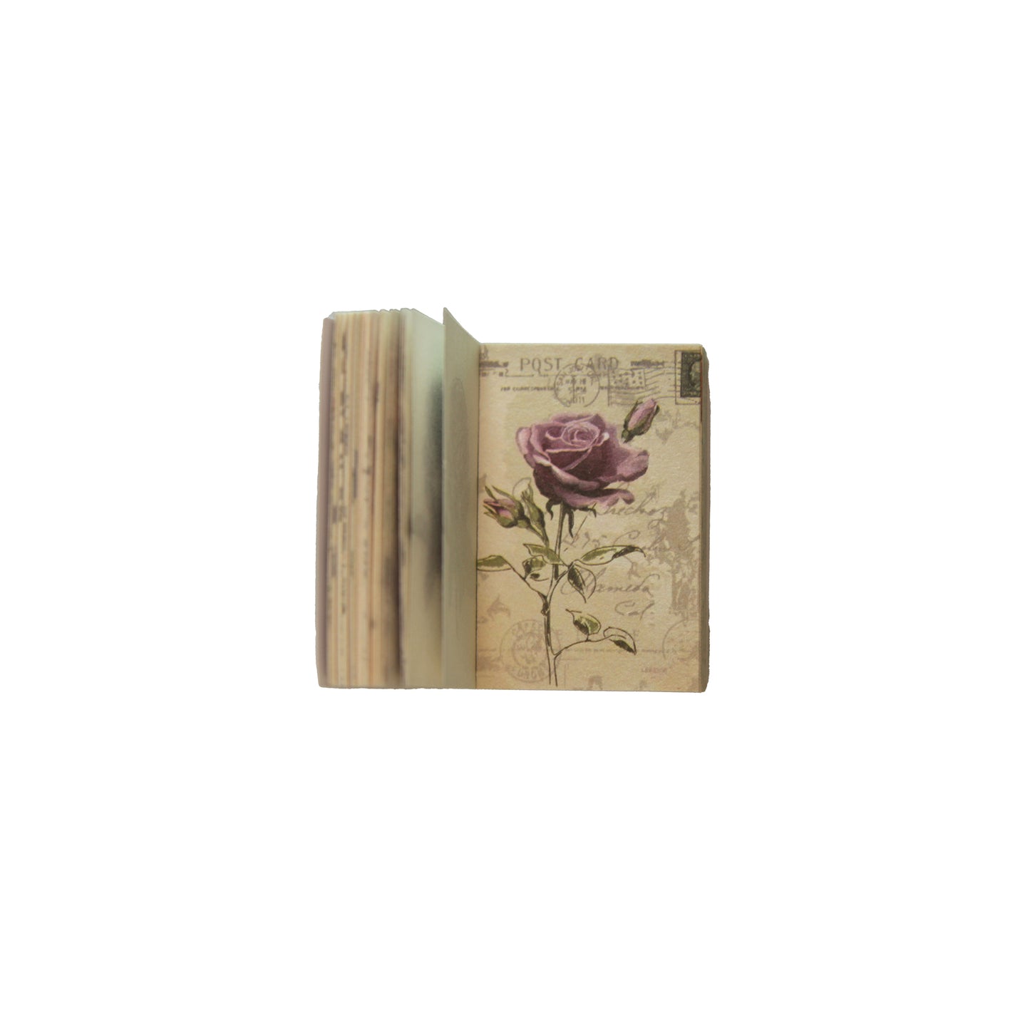 Plant Atlas | Green Mini Magi Book