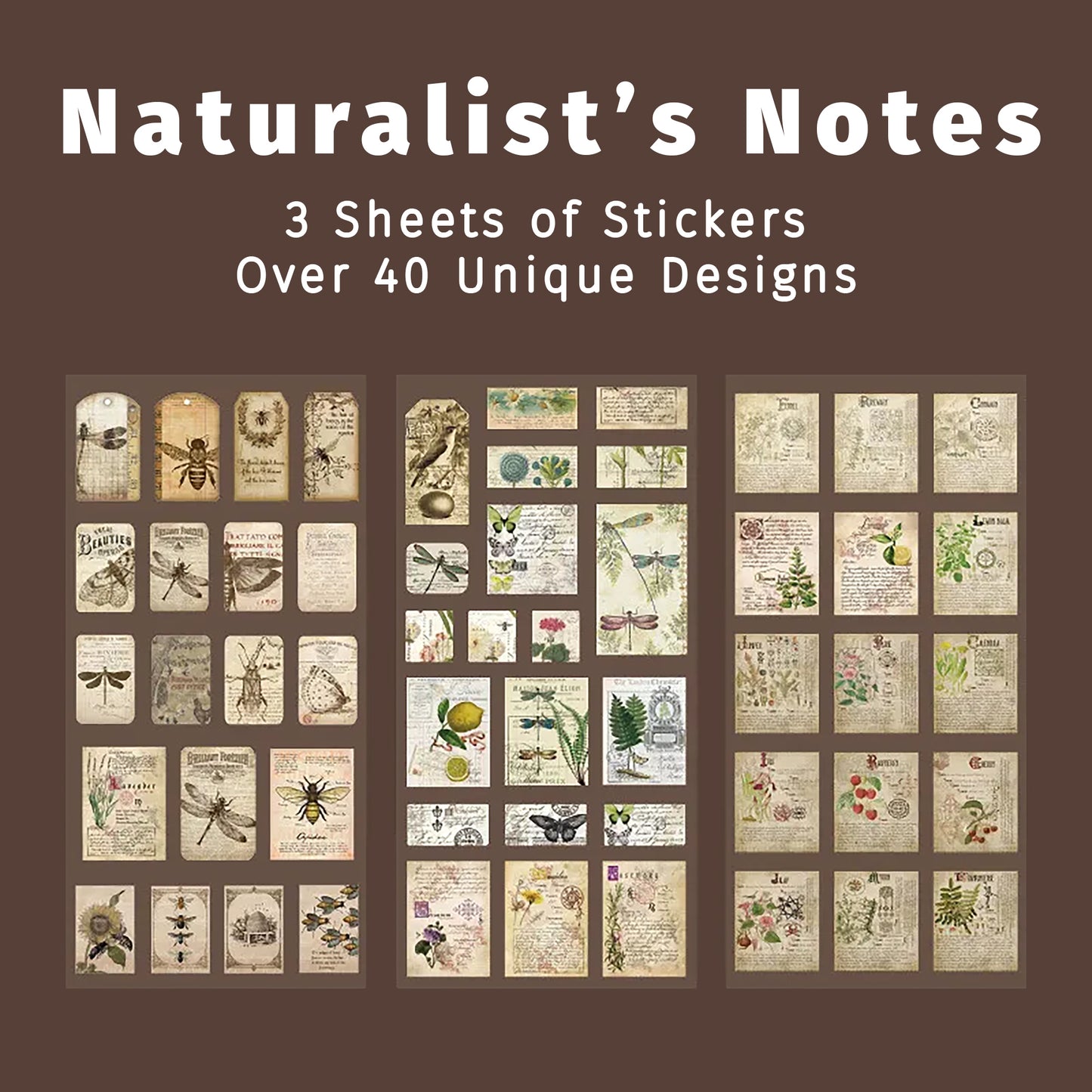 Naturalist's Notes | Tan Sticker Tad Pack