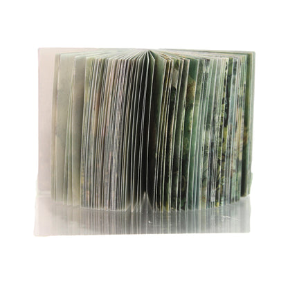 The Green Forest Cabin | Green Mini Magi Book