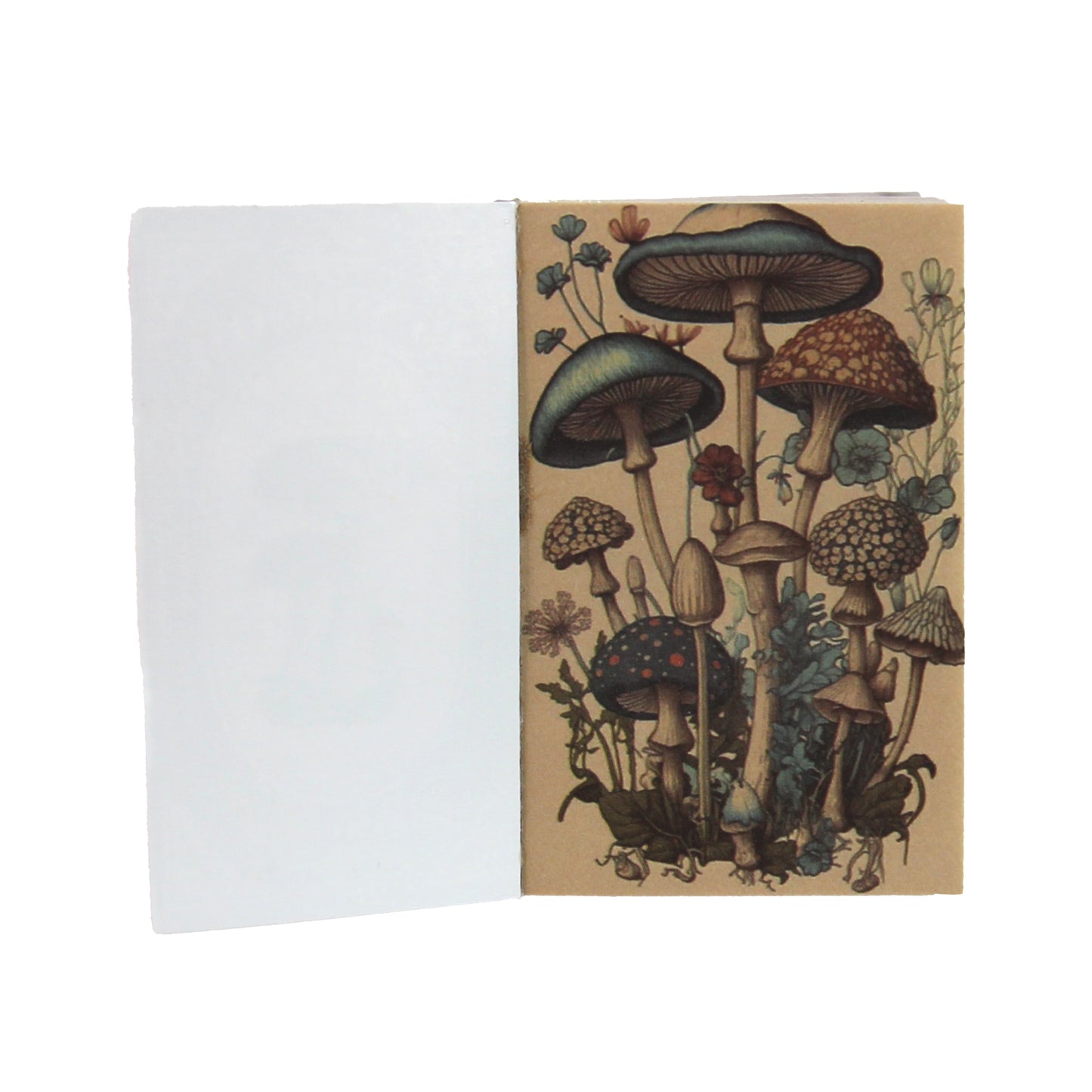 Mushroom | Red Mini Magi Book