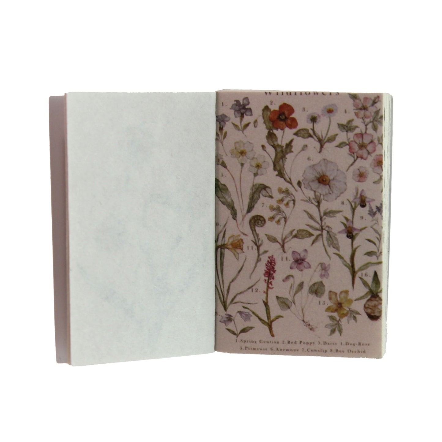 Plant Atlas | Green Mini Magi Book