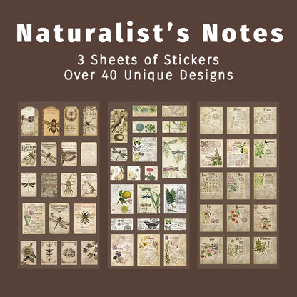 Naturalist's Notes | Tan Sticker Tad Pack