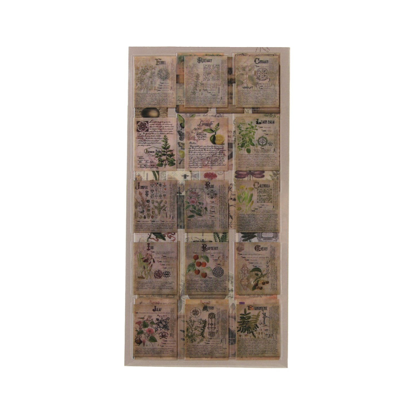 Naturalist's Notes | Tan Sticker Tad Pack