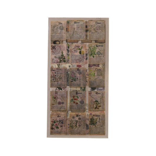 Naturalist's Notes | Tan Sticker Tad Pack