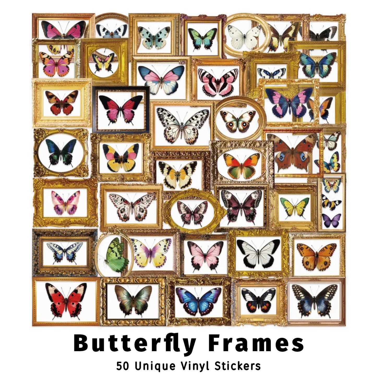Butterfly Frames | Tan Sticker Slack Pack
